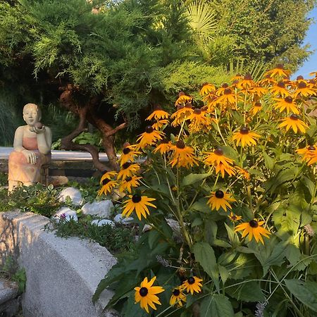 Villa Rosa Friuli Anduins Dış mekan fotoğraf