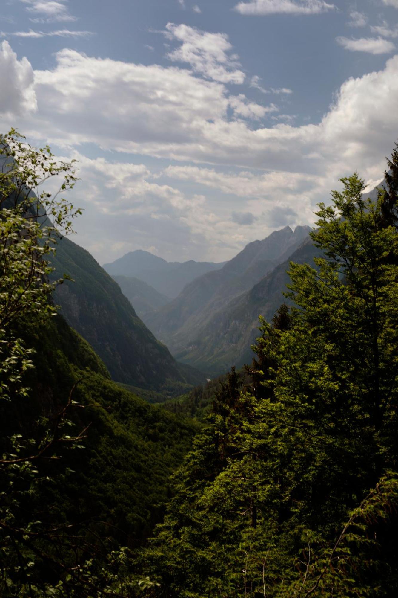 Villa Rosa Friuli Anduins Dış mekan fotoğraf
